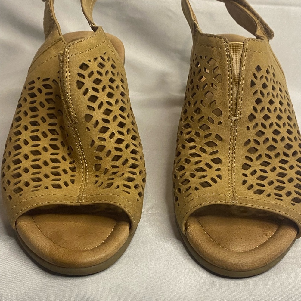 Womans Heels Size 6.5 Brown Block Heels 3 Inches Heel By Earth Pointed Toe.